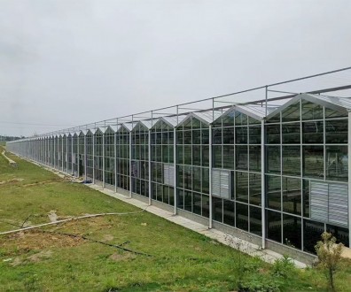 玻璃溫室案例現場
