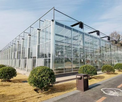 玻璃溫室案例現場