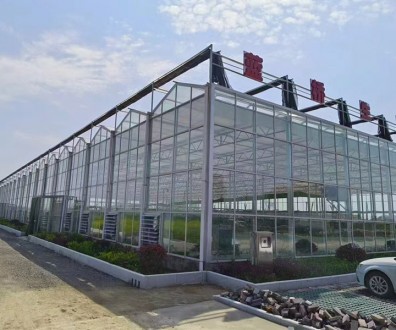 玻璃溫室案例現場