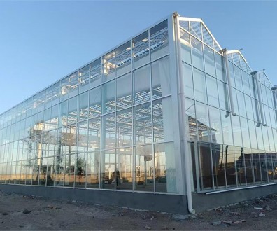 玻璃溫室案例現場