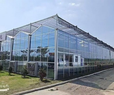 玻璃溫室案例現場