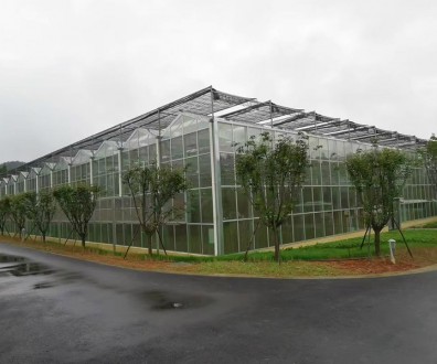 玻璃溫室案例現場