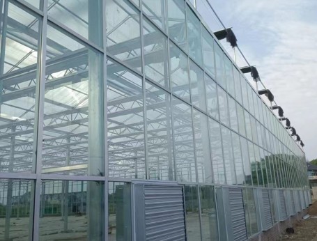 玻璃溫室