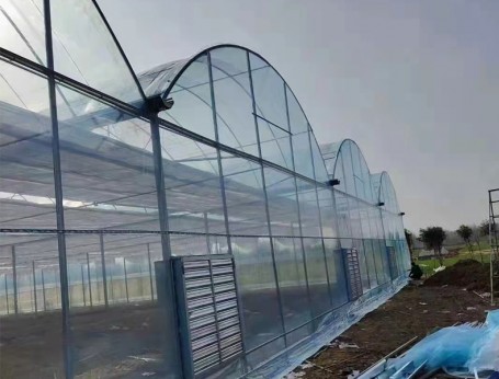 連棟薄膜溫室