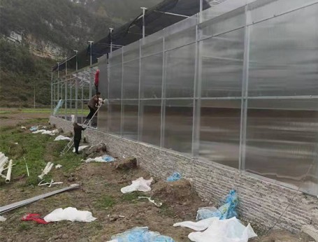 陽(yáng)光板溫室