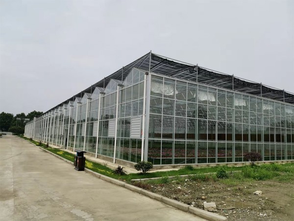 連棟玻璃溫室